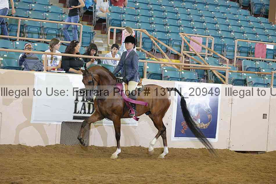 Proof 13yn_20949