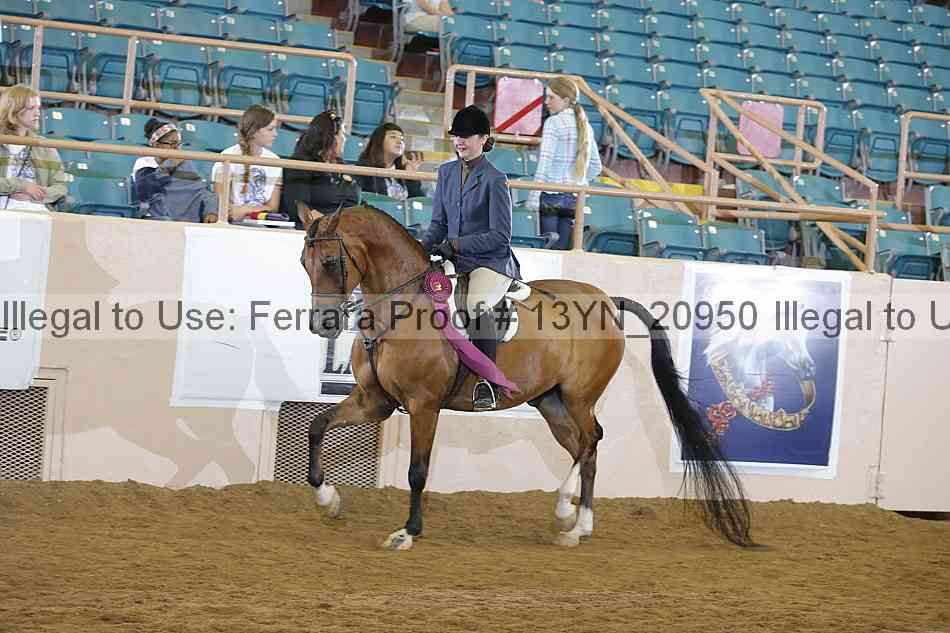 Proof 13yn_20950
