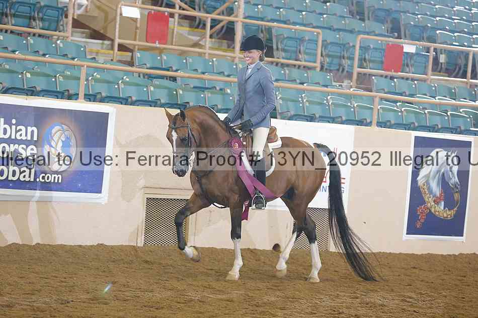 Proof 13yn_20952