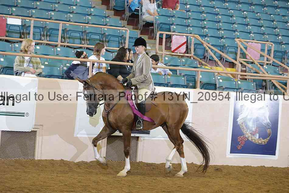 Proof 13yn_20954