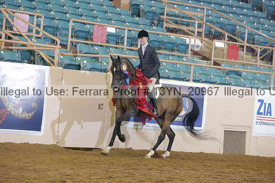 Proof 13yn_20967