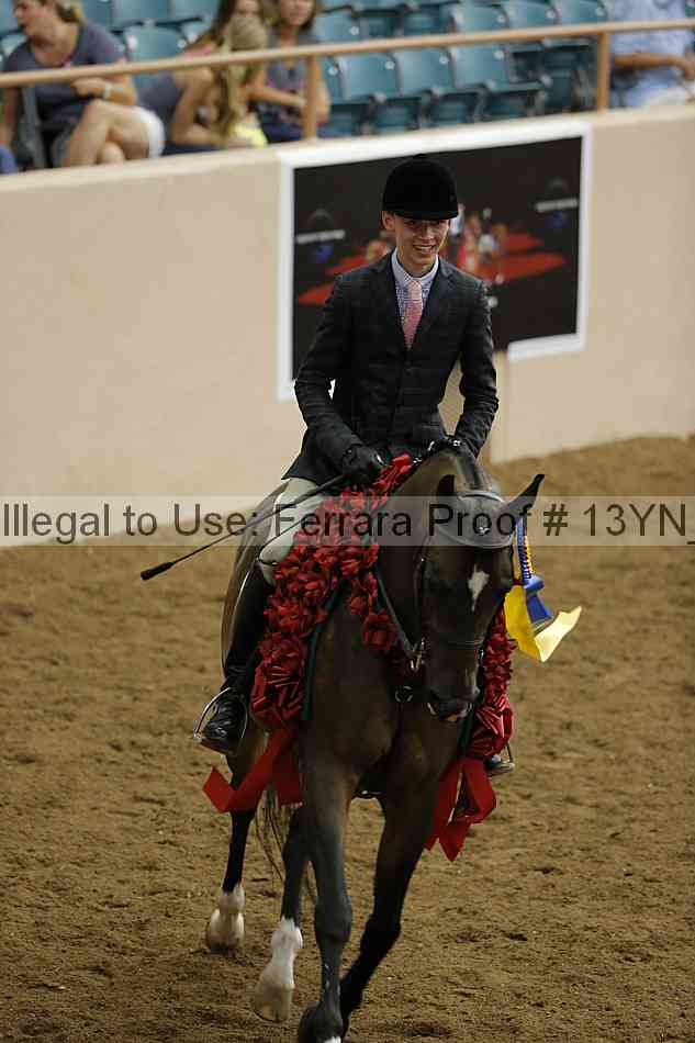 Proof 13yn_20976