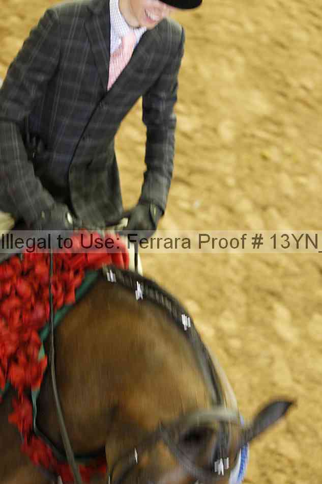 Proof 13yn_20979