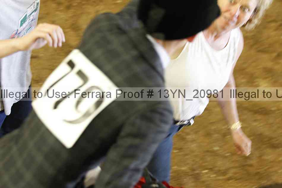 Proof 13yn_20981