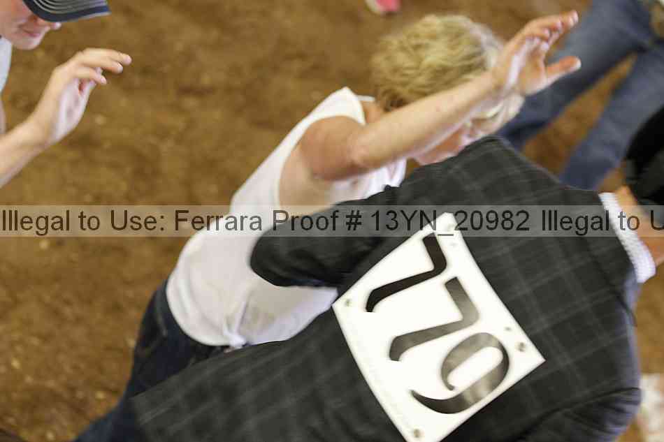 Proof 13yn_20982