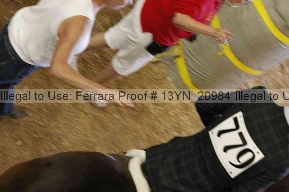 Proof 13yn_20984