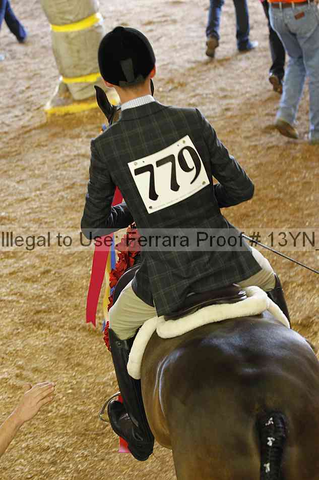 Proof 13yn_20985