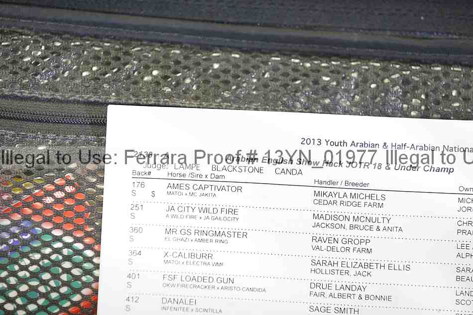 Proof 13yn_01977