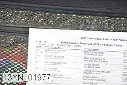 13yn_01977 proof