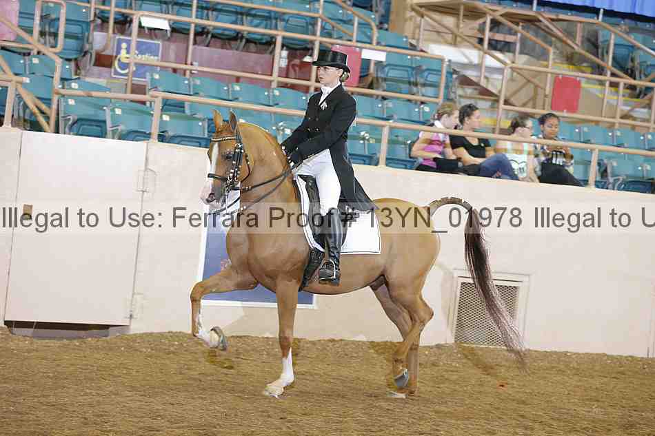 Proof 13yn_01978