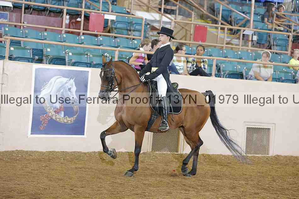 Proof 13yn_01979