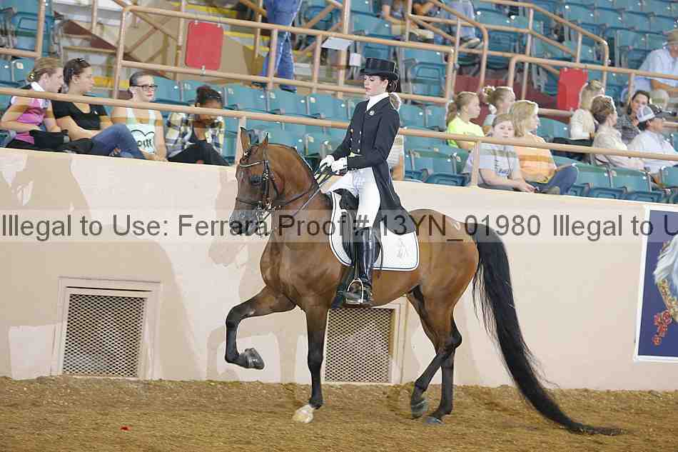 Proof 13yn_01980