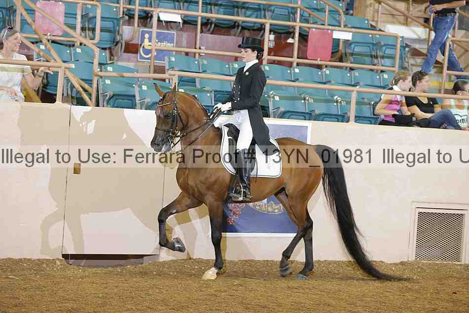Proof 13yn_01981