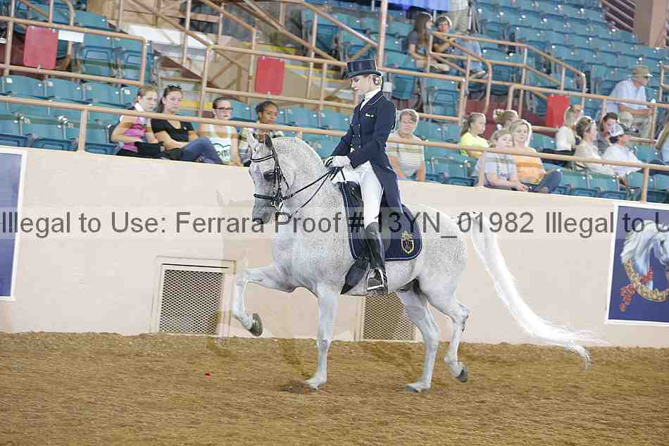 Proof 13yn_01982