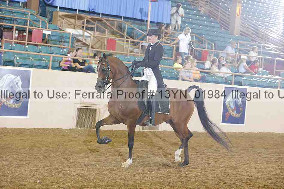 Proof 13yn_01984
