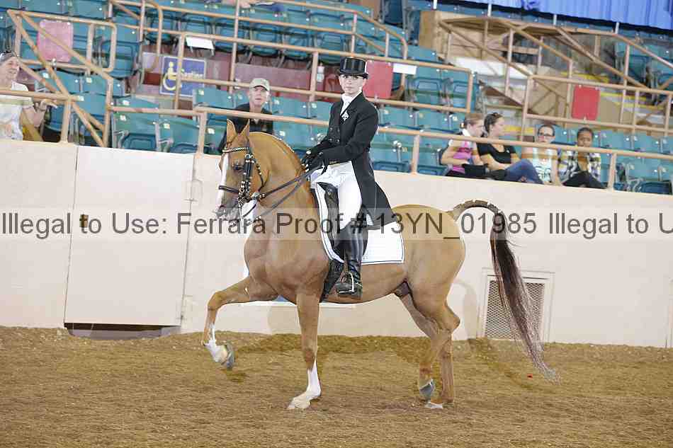 Proof 13yn_01985