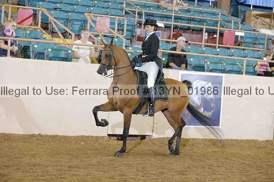 Proof 13yn_01986