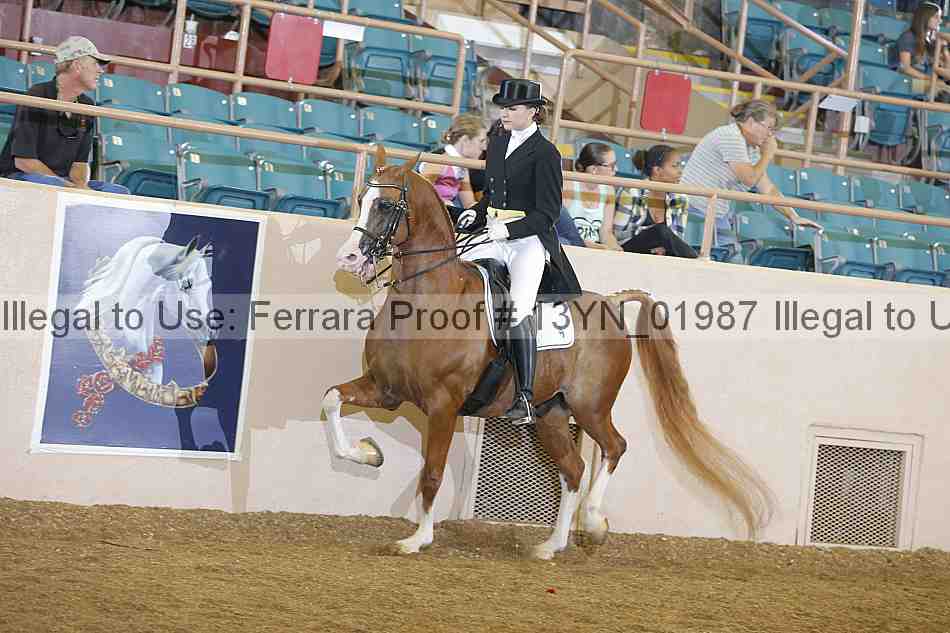Proof 13yn_01987