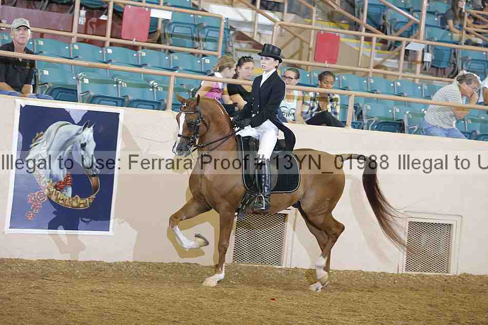 Proof 13yn_01988