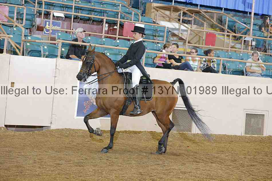 Proof 13yn_01989