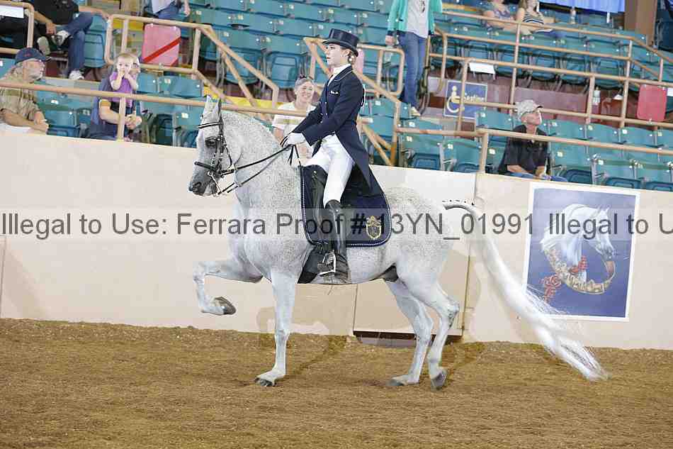 Proof 13yn_01991