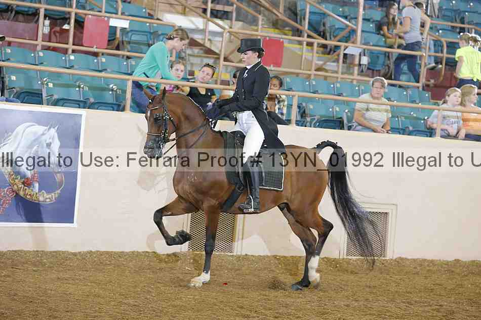 Proof 13yn_01992