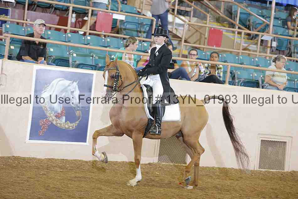 Proof 13yn_01993