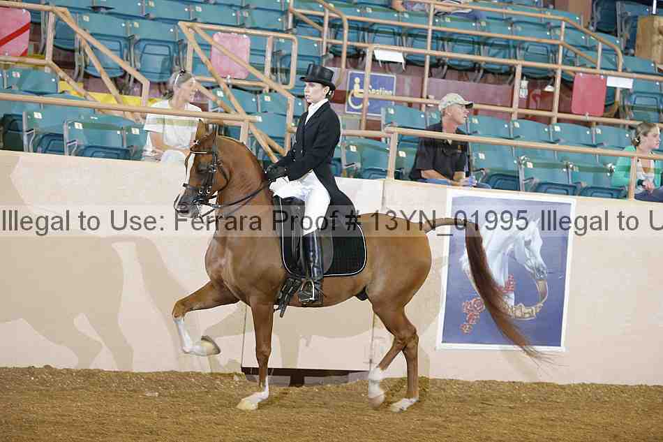 Proof 13yn_01995
