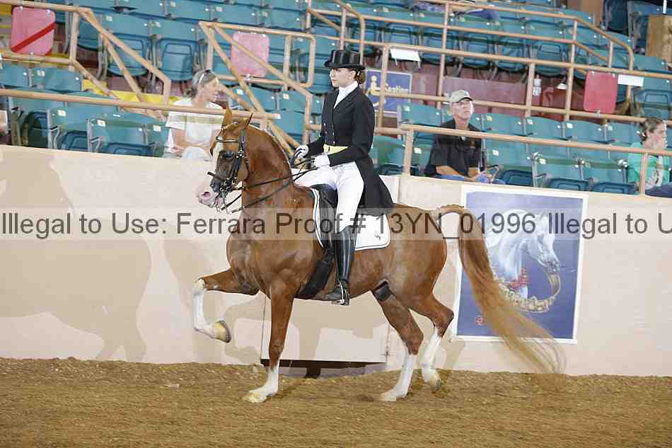 Proof 13yn_01996