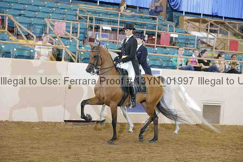 Proof 13yn_01997