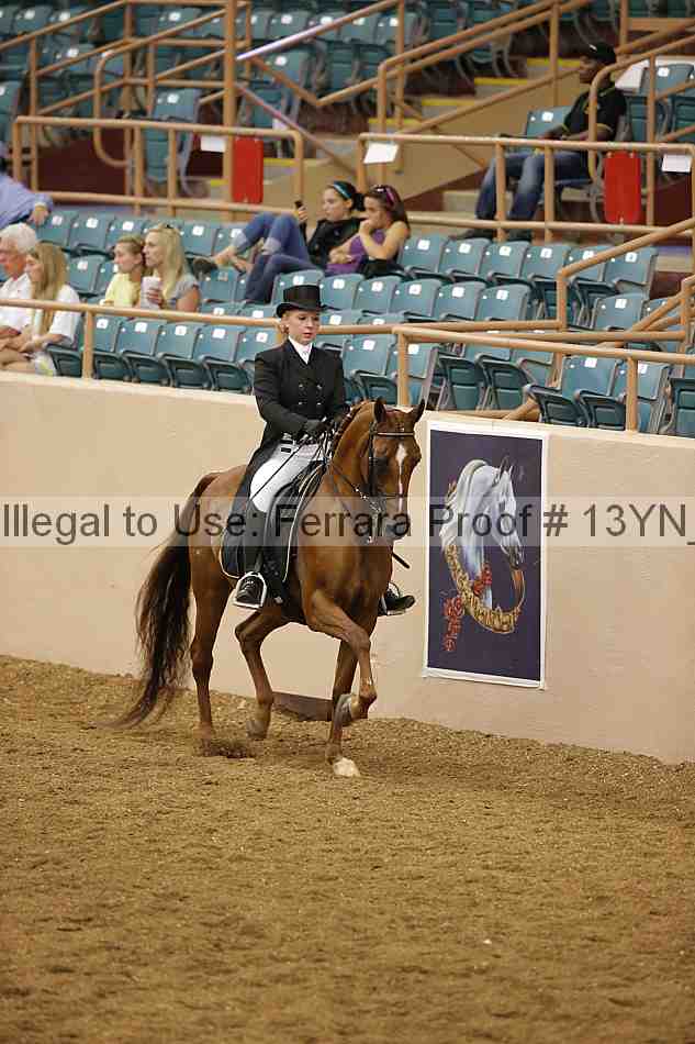 Proof 13yn_02003