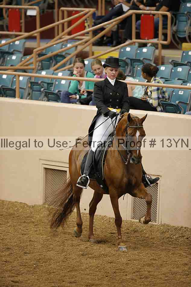 Proof 13yn_02004