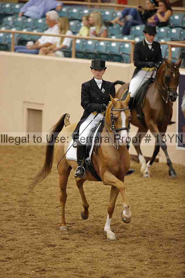 Proof 13yn_02005