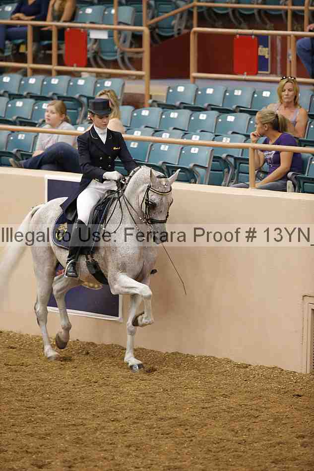 Proof 13yn_02007