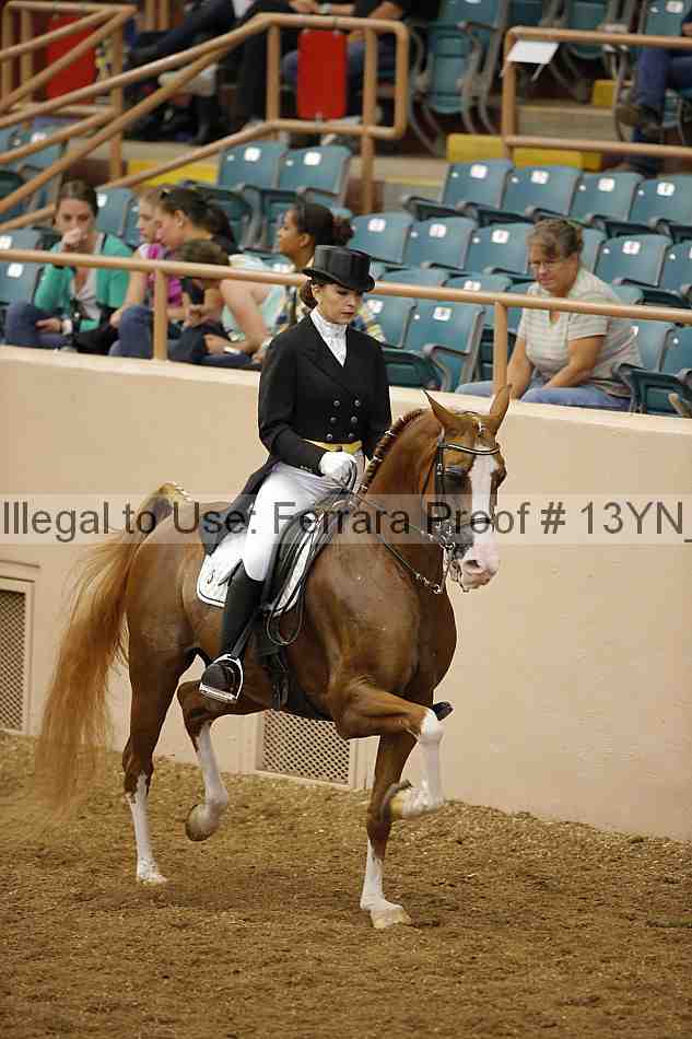 Proof 13yn_02008