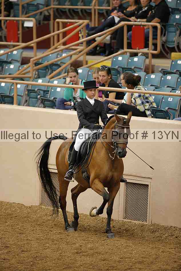Proof 13yn_02009