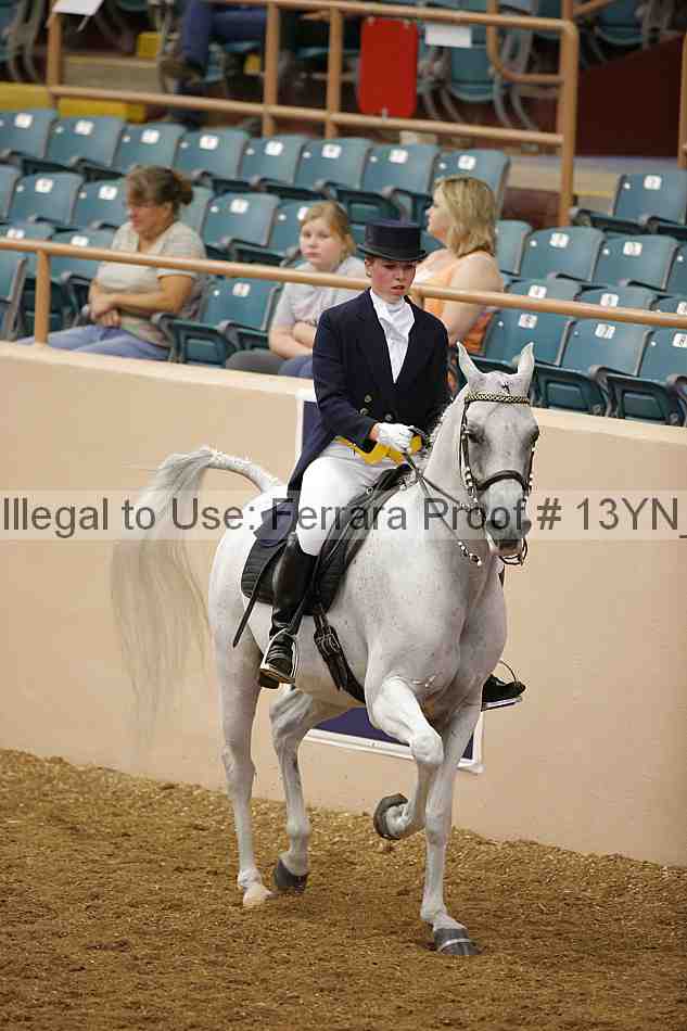 Proof 13yn_02010