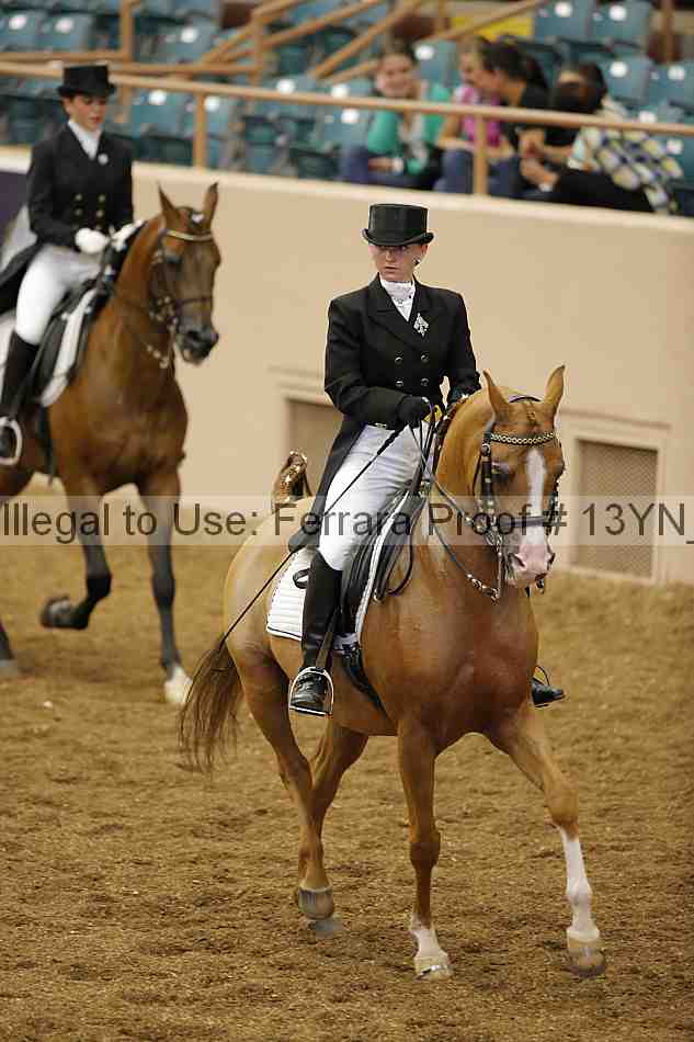 Proof 13yn_02011