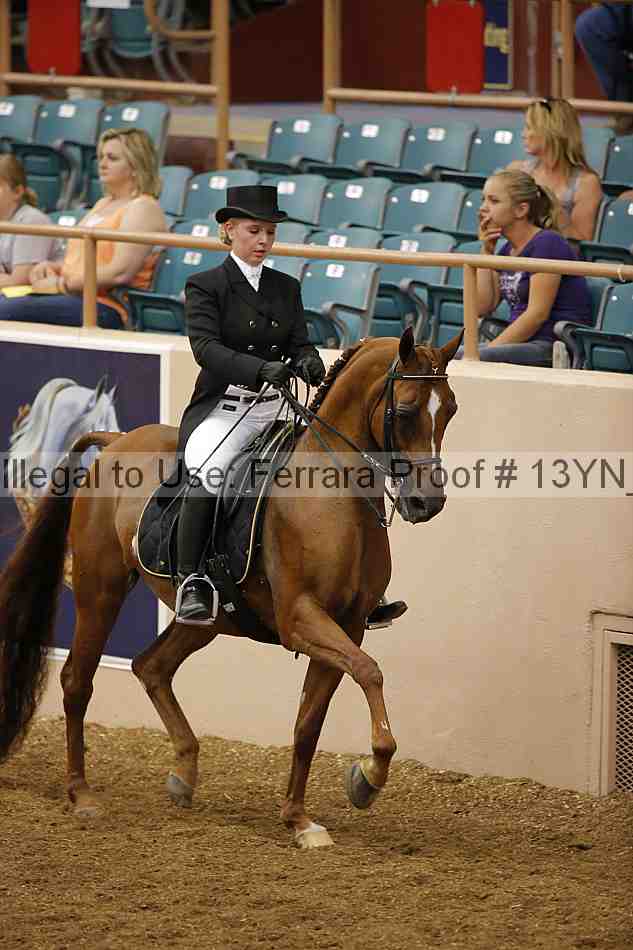 Proof 13yn_02013