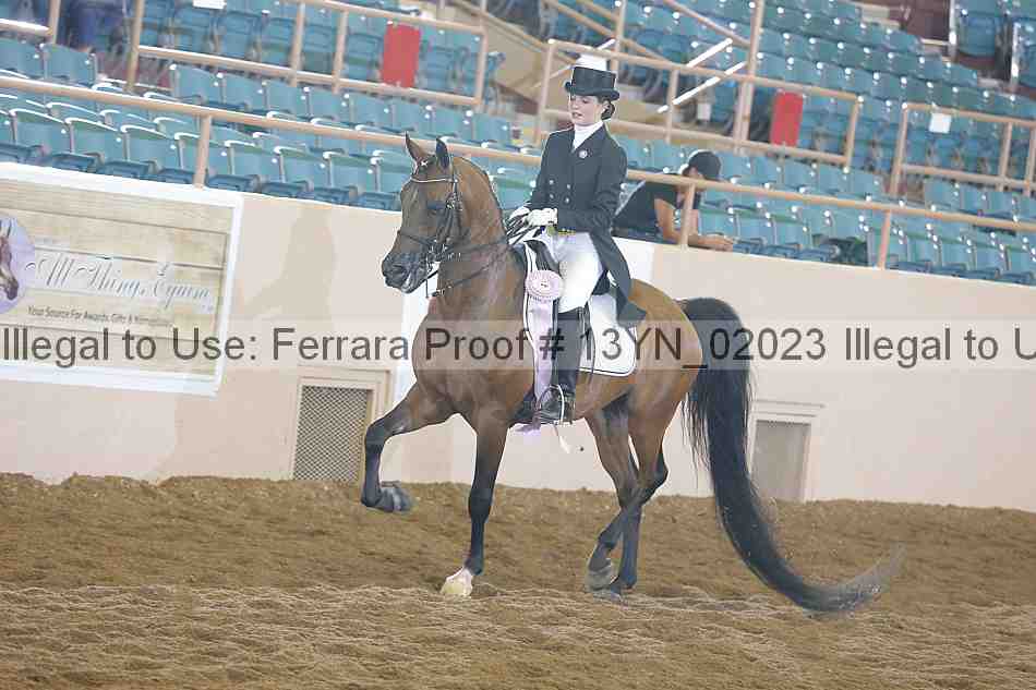 Proof 13yn_02023