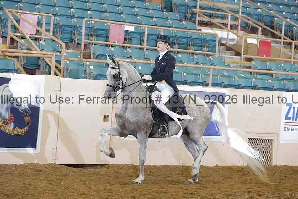 Proof 13yn_02026