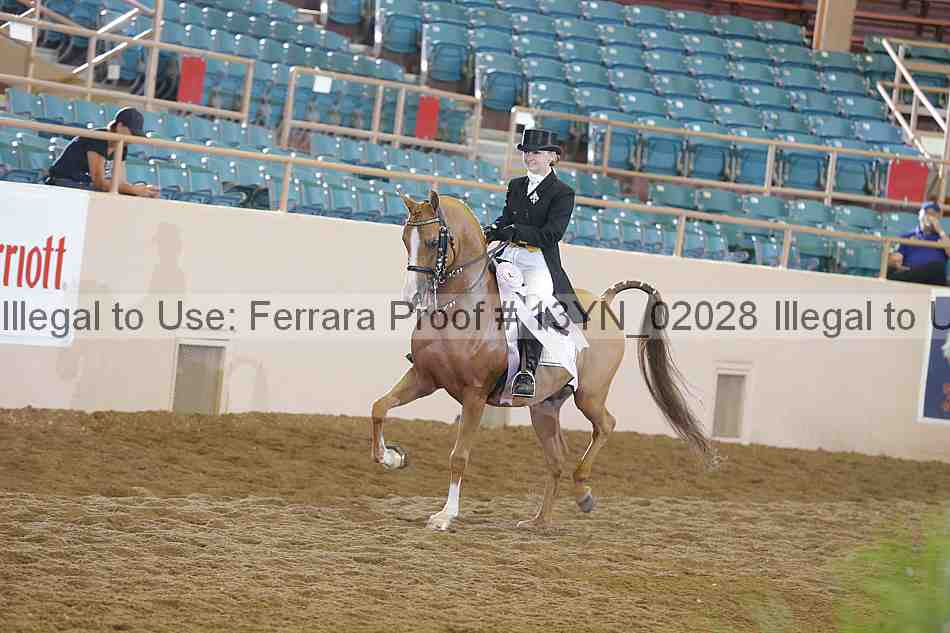 Proof 13yn_02028