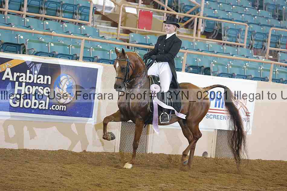 Proof 13yn_02031