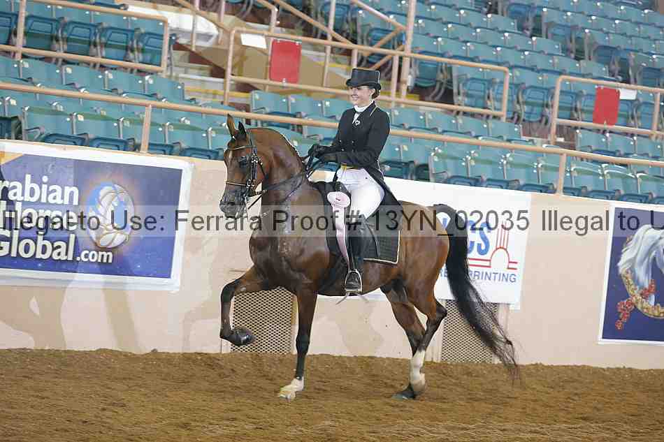 Proof 13yn_02035