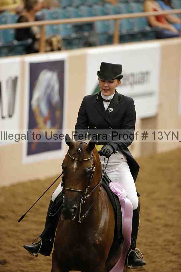 Proof 13yn_02039