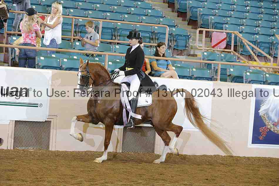 Proof 13yn_02043