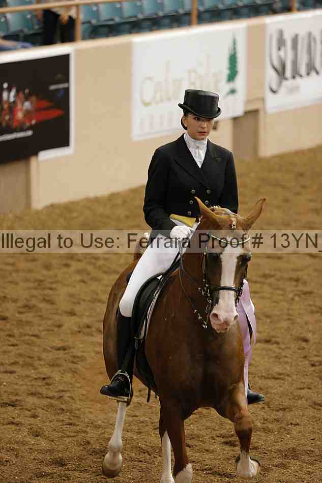 Proof 13yn_02045