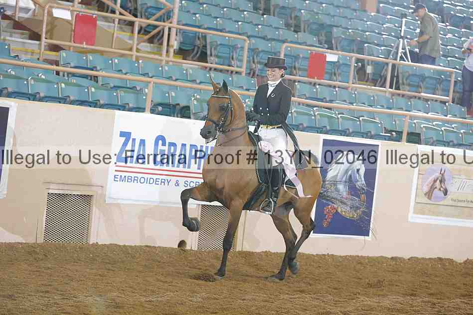 Proof 13yn_02046