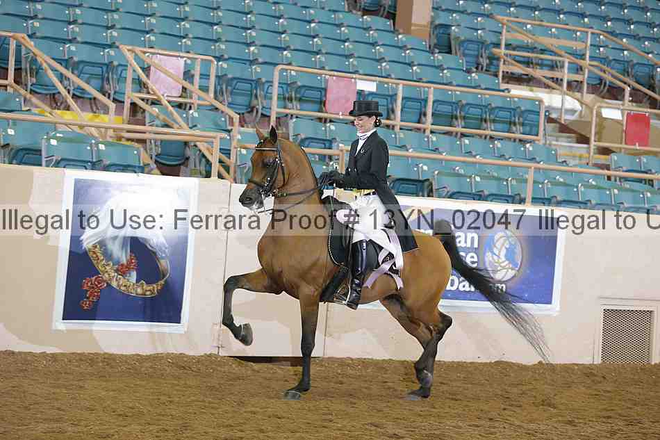 Proof 13yn_02047