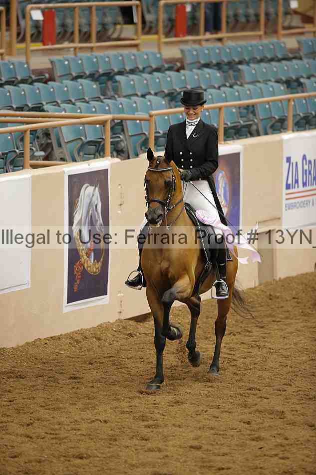 Proof 13yn_02048